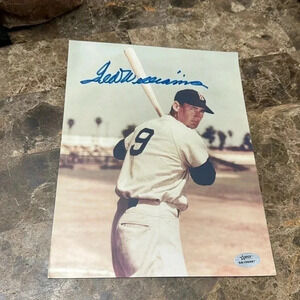 Ted Williams Boston Red Sox